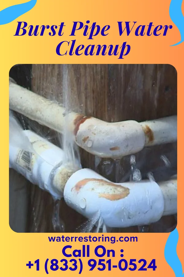 Burst Pipe Water Cleanup in Viola, DE