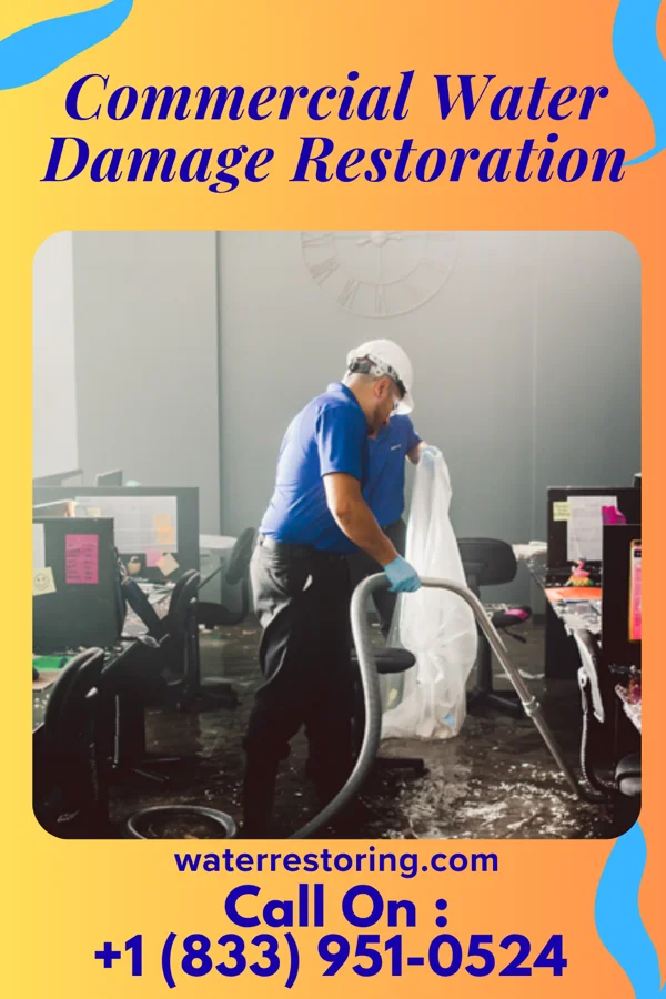 Commercial Water Damage Restoration in Viola, DE