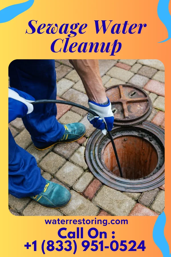 Sewage Water Cleanup in Viola, DE