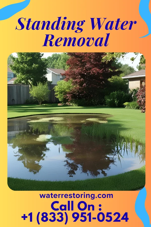 Standing Water Removal in Viola, DE